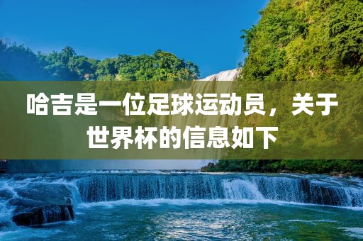 哈吉是一位足球运动员，关于世界杯的信息如下