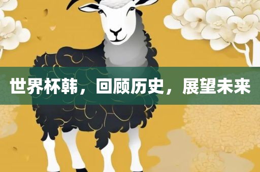 世界杯韩，回顾历史，展望未来