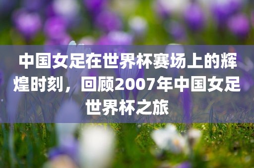 中国女足在世界杯赛场上的辉煌时刻，回顾2007年中国女足世界杯之旅眉山市正发家政服务有限公司