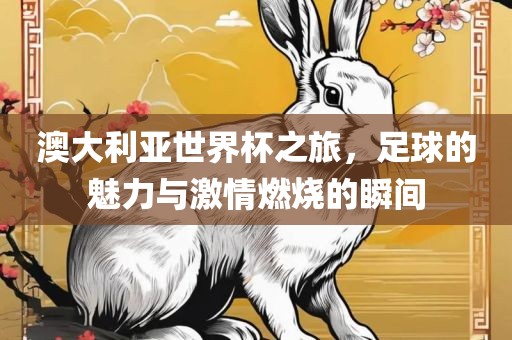 澳大利亚世界杯之旅，足球的魅力与激情燃烧的瞬间