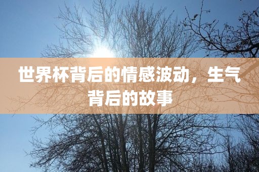 世界杯背后的情感波动，生气背后的故事