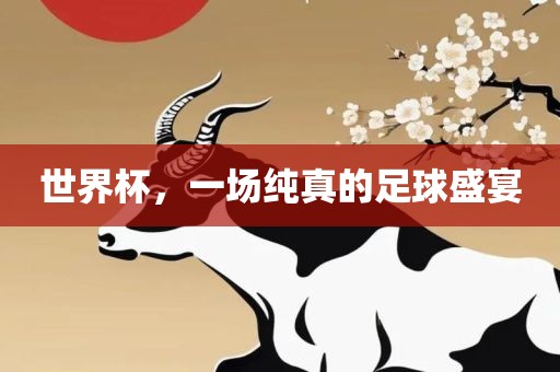 世界杯，一场纯真的足球盛宴