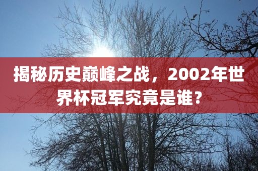揭秘历史巅峰之战，2002年世界杯冠军究竟是谁？眉山市正发家政服务有限公司