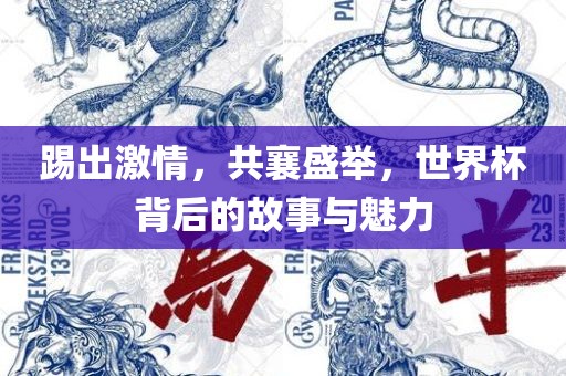 踢出激情，共襄盛举，世界杯背后的故事与魅力