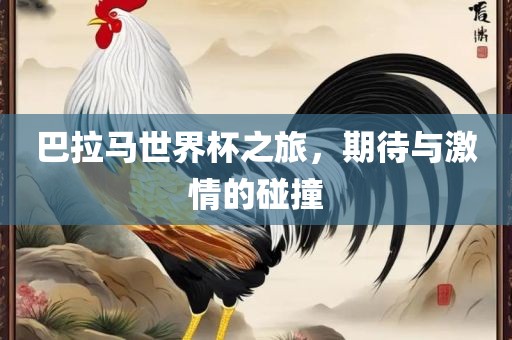 巴拉马世界杯之旅，期待与激情的碰撞