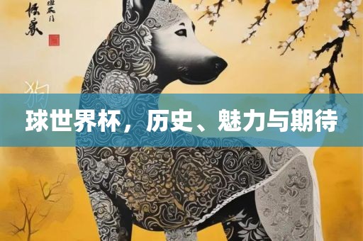 球世界杯，历史、魅力与期待