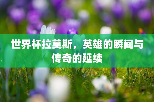 世界杯拉莫斯，英雄的瞬间与传奇的延续眉山市正发家政服务有限公司