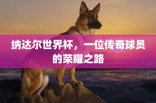 纳达尔世界杯，一位传奇球员的荣耀之路
