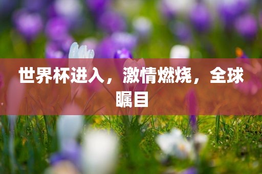 世界杯进入，激情燃烧，全球瞩目