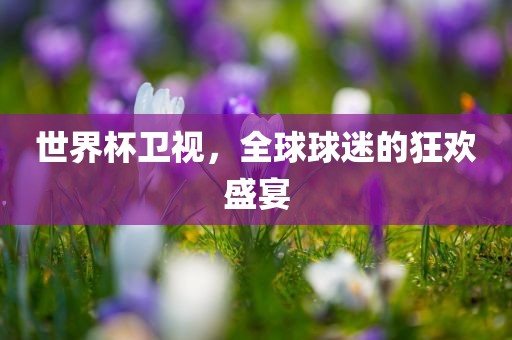 世界杯卫视，全球球迷的狂欢盛宴