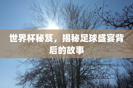 世界杯秘笈，揭秘足球盛宴背后的故事