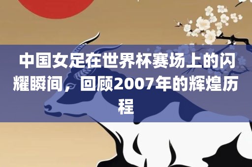 中国女足在世界杯赛场上的闪耀瞬间，回顾2007年的辉煌历程眉山市正发家政服务有限公司