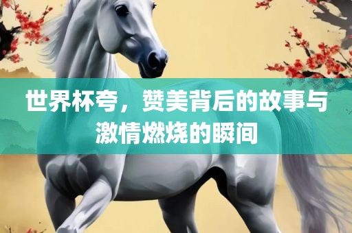 世界杯夸，赞美背后的故事与激情燃烧的瞬间