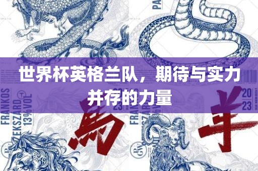 世界杯英格兰队，期待与实力并存的力量