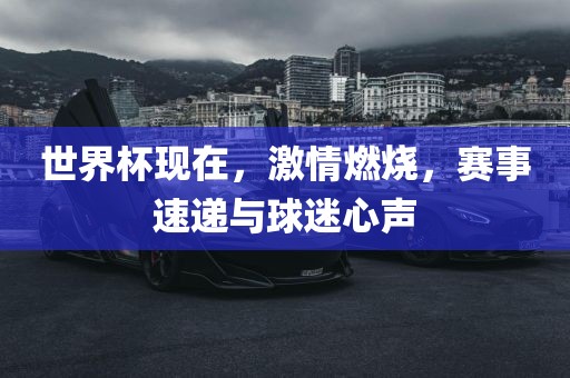 世界杯现在，激情燃烧，赛事速递与球迷心声眉山市正发家政服务有限公司