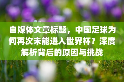 自媒体文章标题，中国足球为何再次未能进入世界杯？深度解析背后的原因与挑战