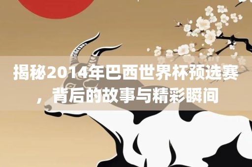 揭秘2014年巴西世界杯预选赛，背眉山市正发家政服务有限公司后的故事与精彩瞬间