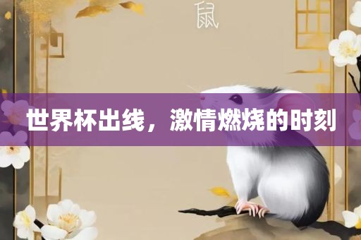 世界杯出线，激情燃烧的时刻