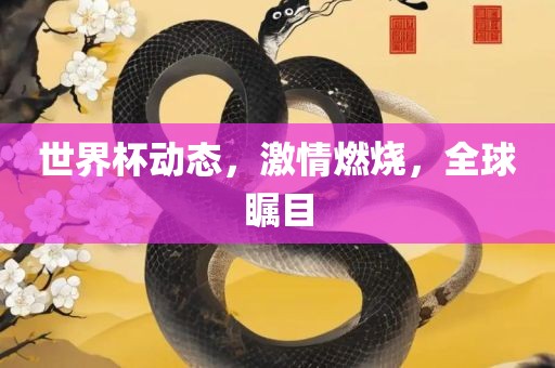 世界杯动态，激情燃烧，全球瞩目