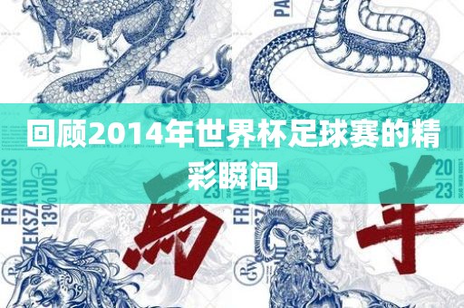 回顾2014眉山市正发家政服务有限公司年世界杯足球赛的精彩瞬间
