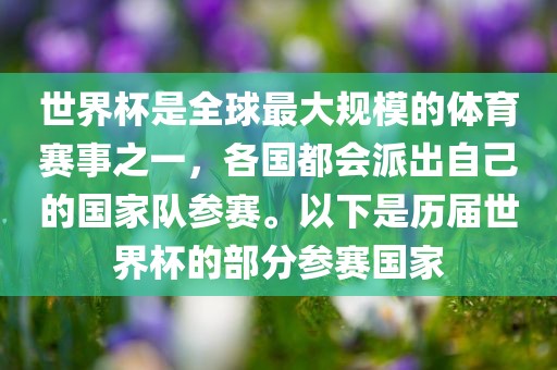世界杯是全球最大规模的体育赛事之一，各国都会派出自己的国家队参赛。以下是历届世界杯的部分参赛国家