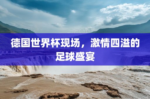 德国世界杯现场，激情四溢的足球盛宴