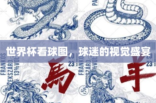 世界杯看球图，球迷的视觉盛宴