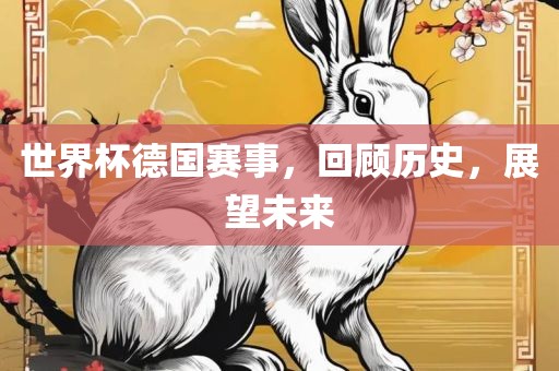 世界杯德国赛事，回顾历史，展望未来