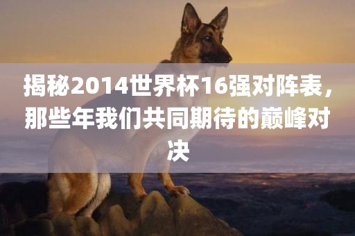 揭秘2014世界杯16强对阵表，那些年我们共同期待的巅峰对决