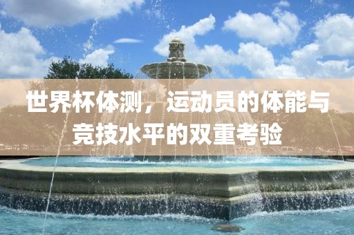 世界杯体测，运动员的体能与竞技水平的双重考验