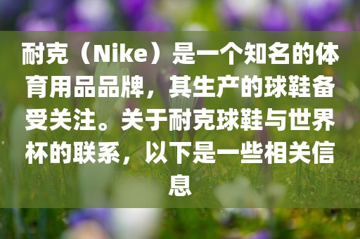 眉山市正发家政服务有限公司耐克（Nike）是一个知名的体育用品品牌，其生产的球鞋备受关注。关于耐克球鞋与世界杯的联系，以下是一些相关信息