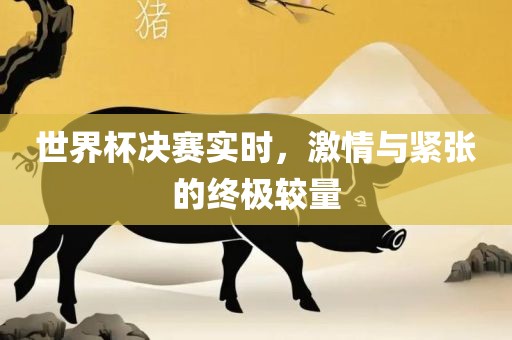 世界杯决赛实时，激情与紧张的终极较量