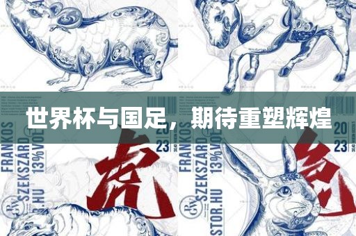 世界杯与国足，期待重塑辉煌