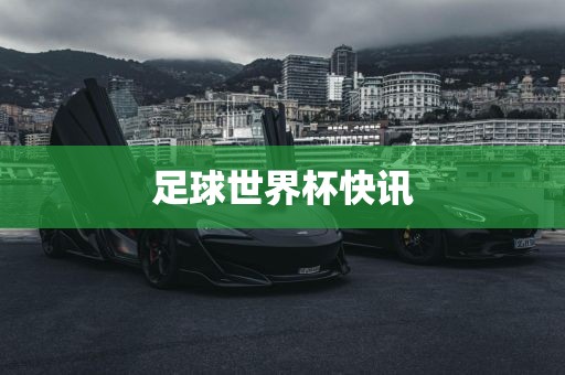 足球世界杯快讯