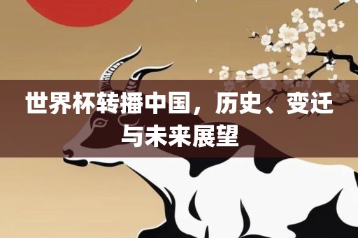 世界杯转播中国，历史、变迁与未来展望