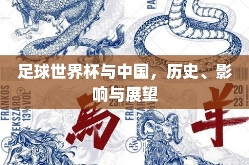 足球世界杯与中国，历史、影响与展望眉山市正发家政服务有限公司