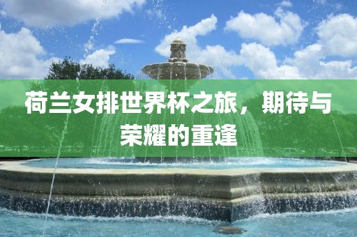 荷兰女排世界杯之旅，期待与荣耀的重逢