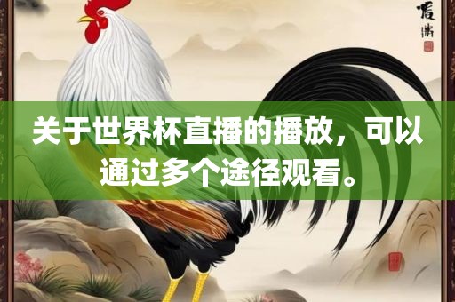 关于世界杯直播的播放，可以通过多个途径观看。