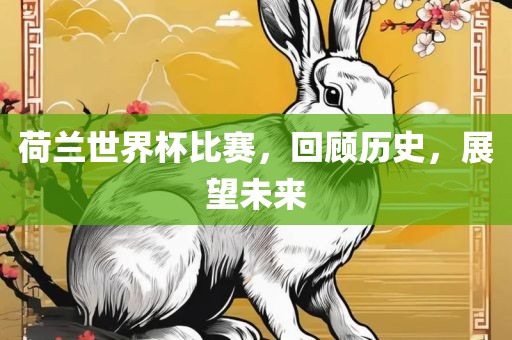 荷兰世界杯比赛，回顾历史，展望未来