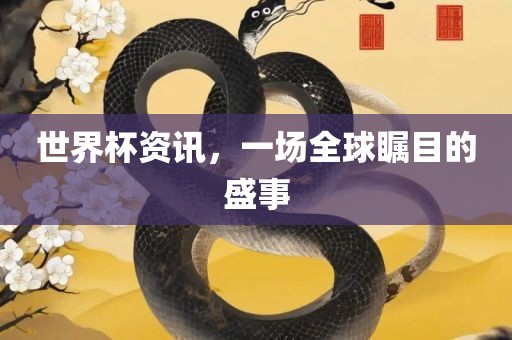 世界杯资讯，一场全球瞩目的盛事