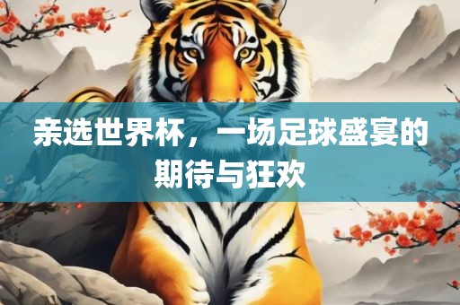 亲选世界杯，一场足球盛宴的期待与狂欢眉山市正发家政服务有限公司