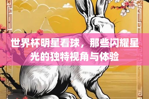 世界杯明星看球，那些闪耀星光的独特视角与体验