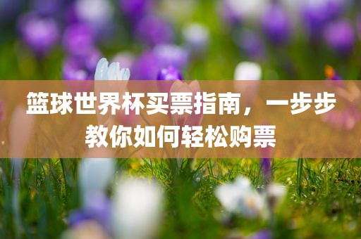篮球世界杯买票指南，一步步教你如何轻松购票