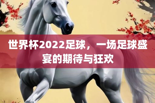 世界杯2022足球，一场足球盛宴的期待与狂欢