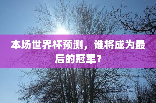 本场世界杯预测，谁将成为最后的冠军？
