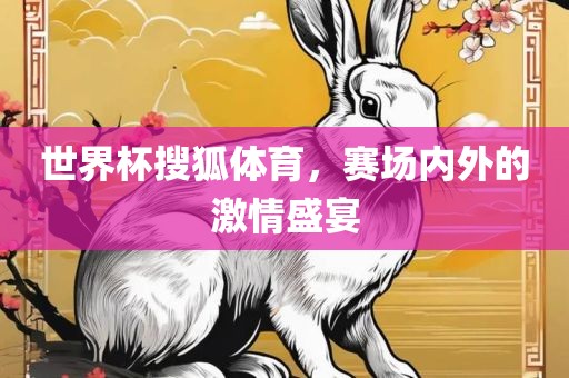 世界杯搜狐体育，赛场内外的激情盛宴