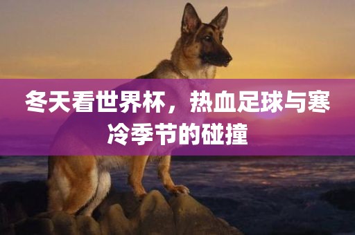 冬天看世界杯，热血足球与寒冷季节的碰撞眉山市正发家政服务有限公司
