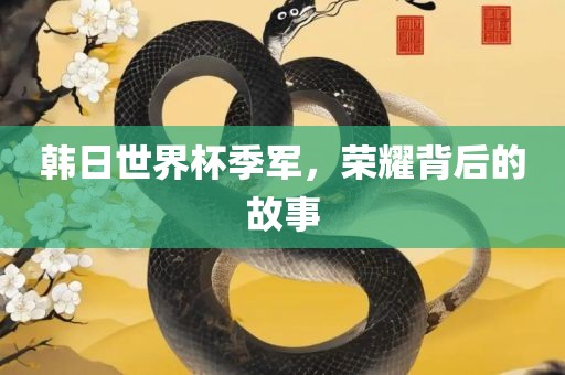 韩日世界杯季军，荣耀背后的故事
