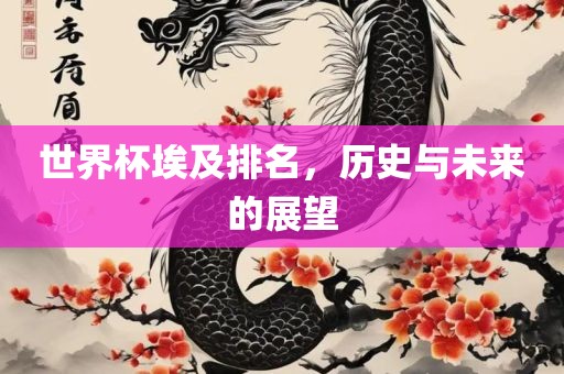 世界杯埃及排名，历史与未来的展望