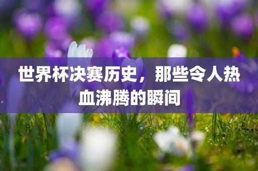 世界杯决赛历史，那些令人热血沸腾的瞬间
